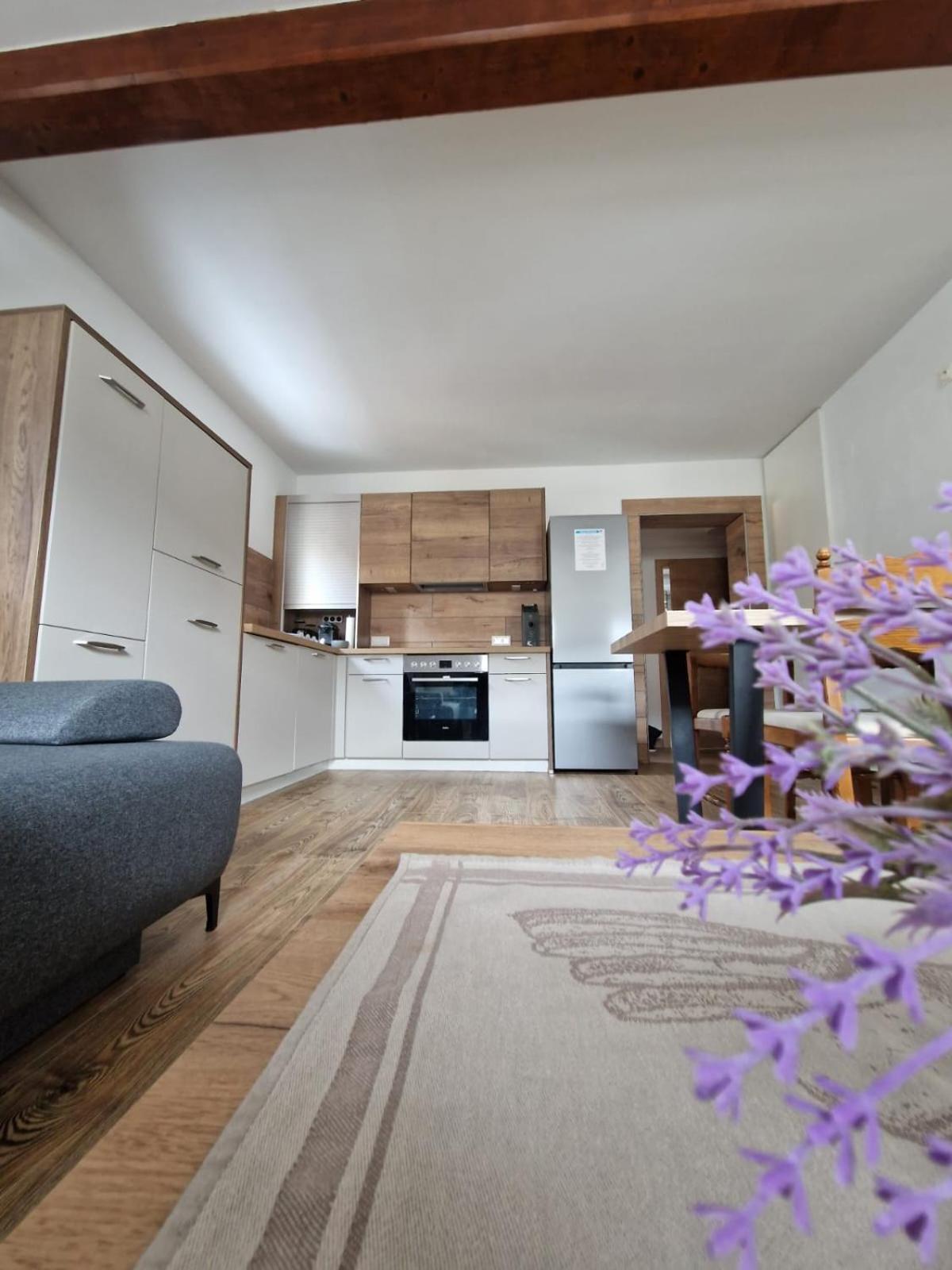 Appartement Haus-Ennstal à Oblarn Extérieur photo